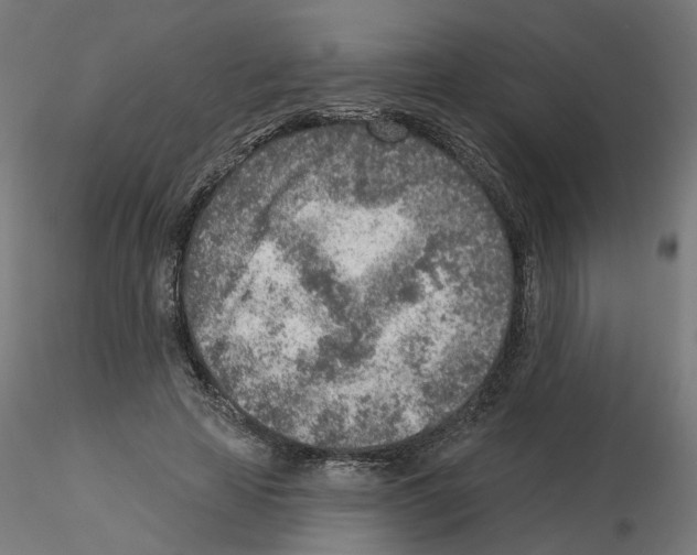 X0000115550641200912181554