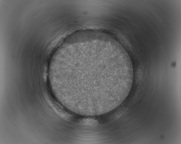 X0000115550644200912181554