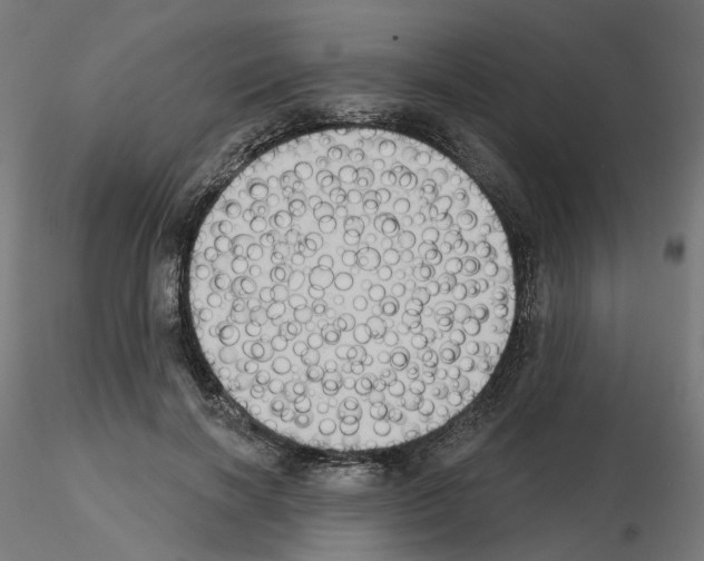 X0000115550646200912181554