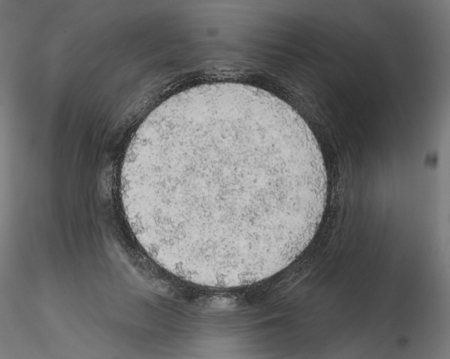 X0000115550647200912181554