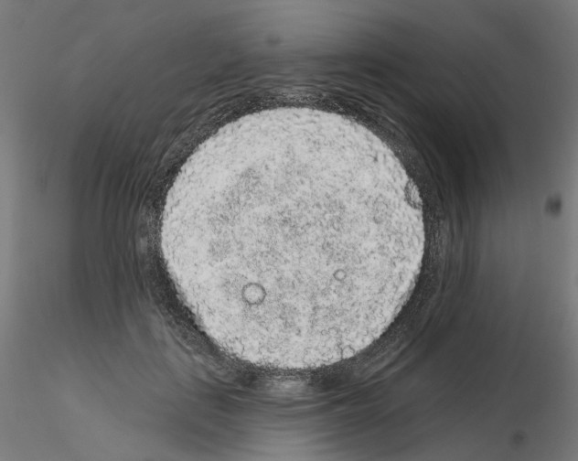 X0000115550651200912181554