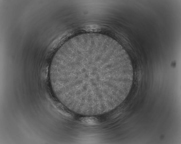 X0000115550652200912181554