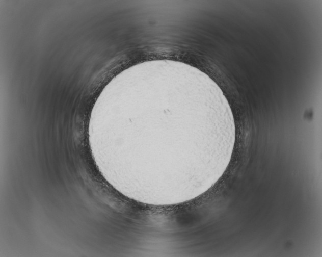 X0000115550656200912181554