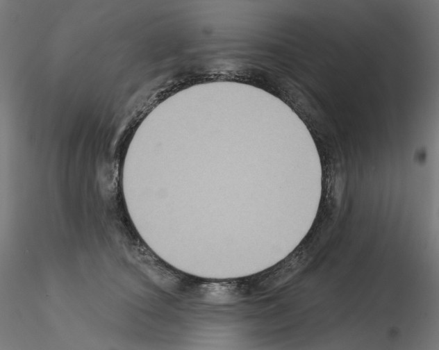 X0000115550660200912181554