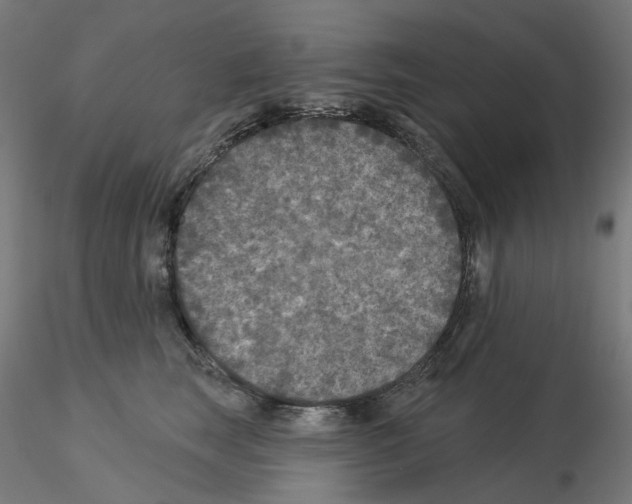 X0000115550663200912181554