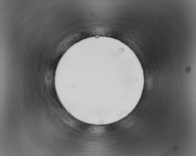 X0000115550665200912181554