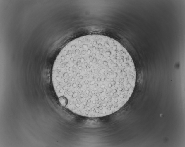 X0000115550666200912181554