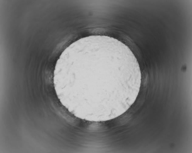 X0000115550669200912181554