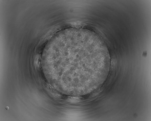 X0000115550671200912181554