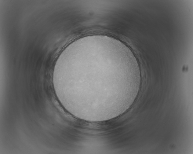 X0000115550672200912181554