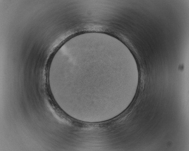 X0000115550674200912181553