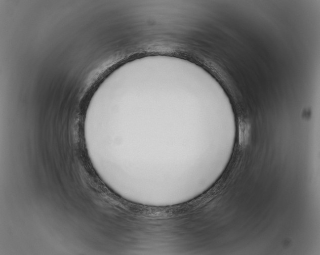 X0000115550675200912181553