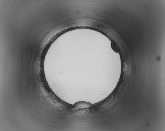 X0000115550676200912181553