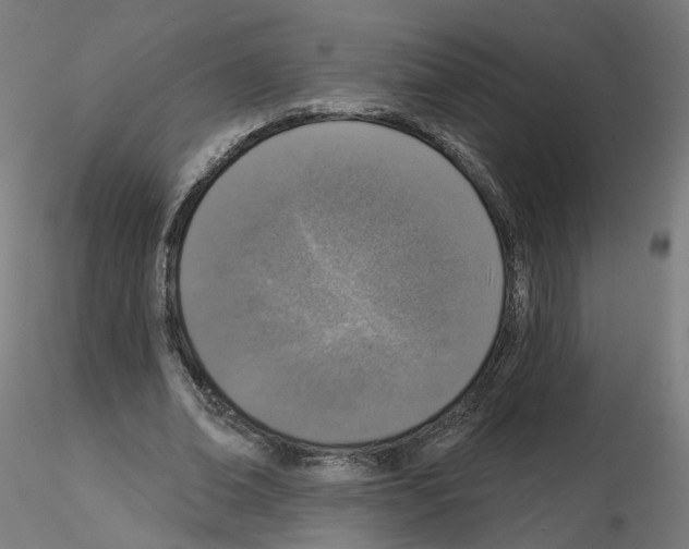 X0000115550678200912181553