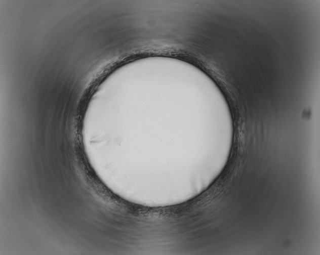 X0000115550679200912181553