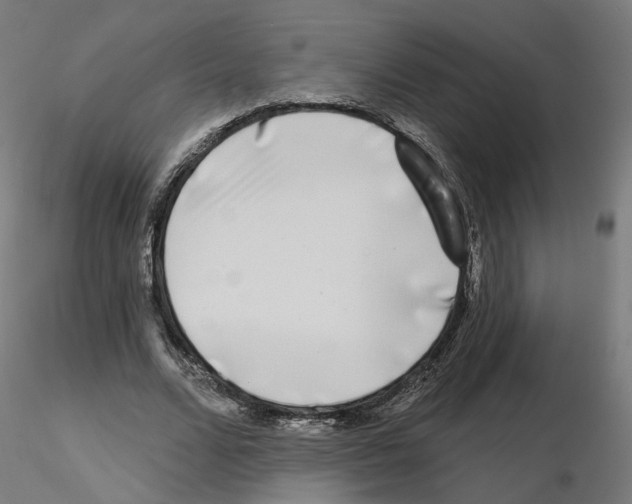 X0000115550680200912181553