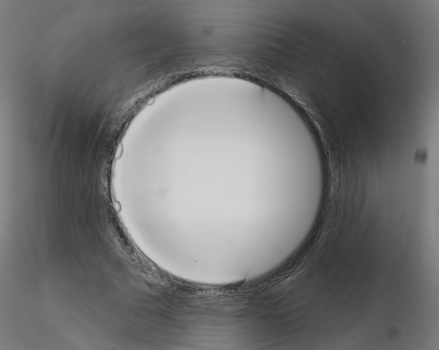 X0000115550681200912181553