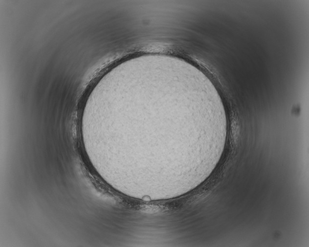 X0000115550682200912181553