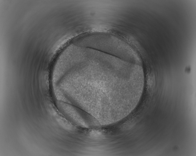 X0000115550684200912181553