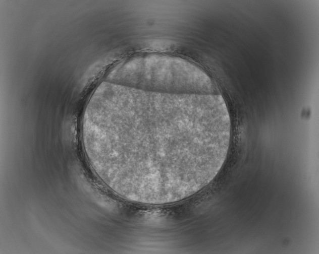 X0000115550688200912181553