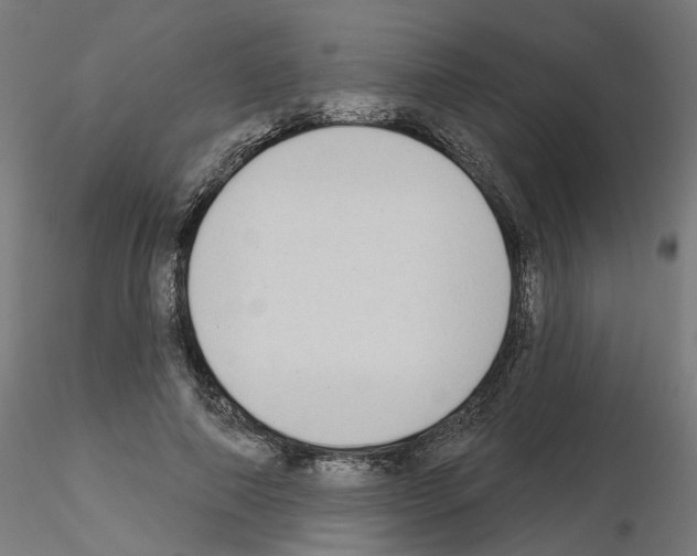 X0000115550690200912181553