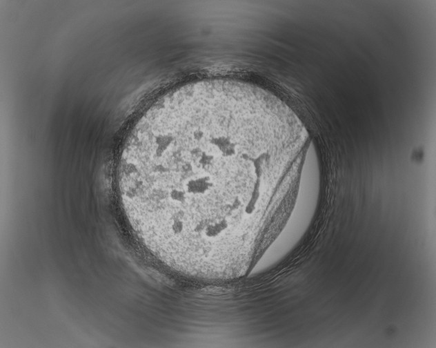 X0000115550691200912181553