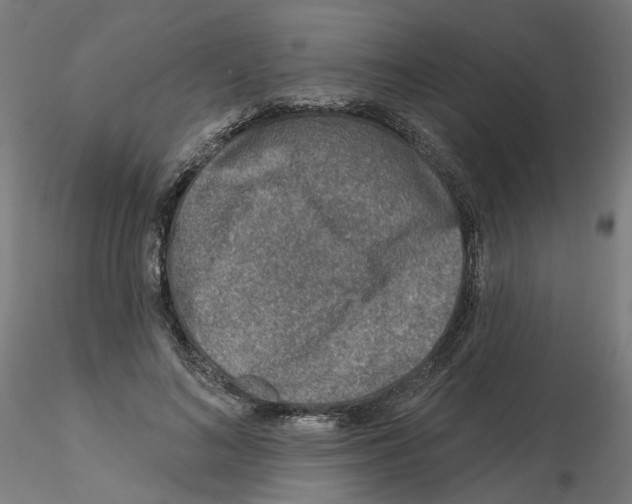 X0000115550692200912181553