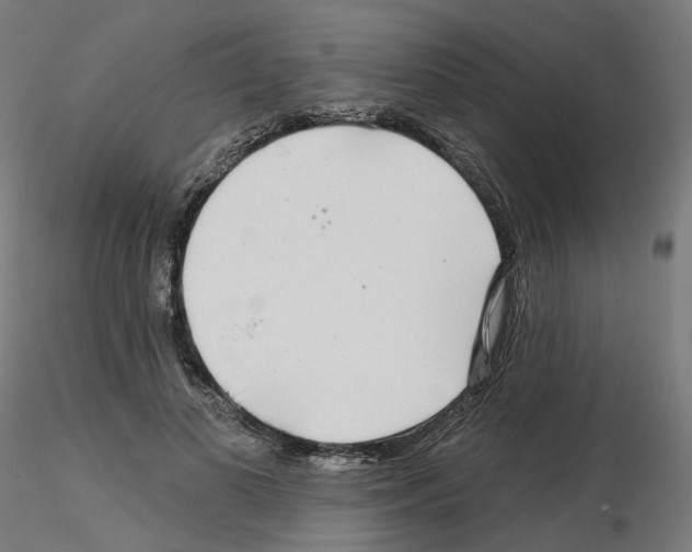 X0000115550693200912181553