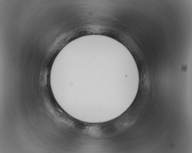 X0000115550694200912181553