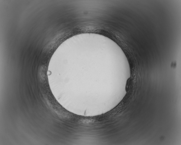 X0000115550695200912181553