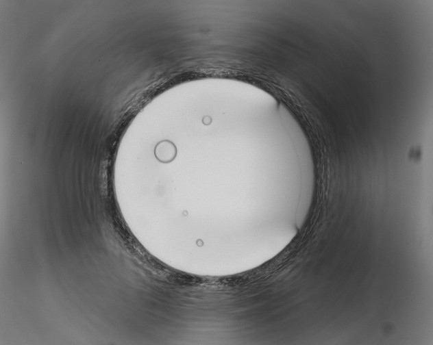 X0000115550696200912181553