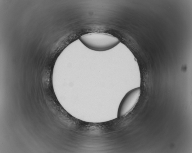 X0000115550697200912181553