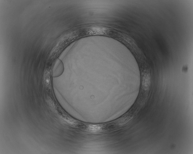 X0000115550701200912181553