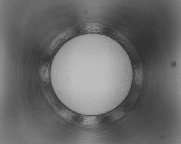 X0000115550705200912181553