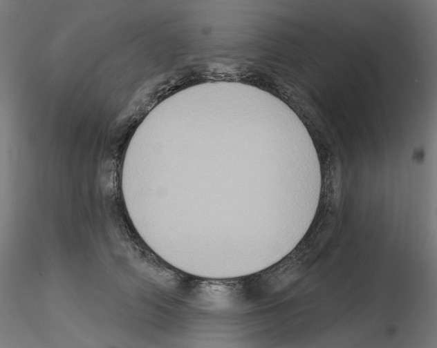 X0000115550706200912181553