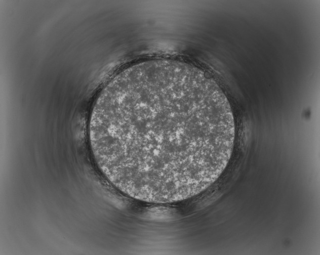 X0000115550708200912181553