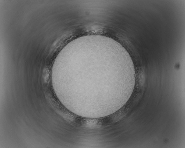 X0000115550709200912181553