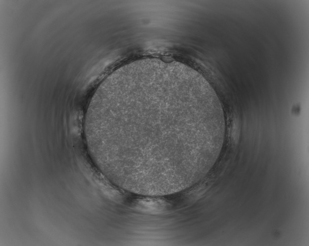 X0000115550712200912181553