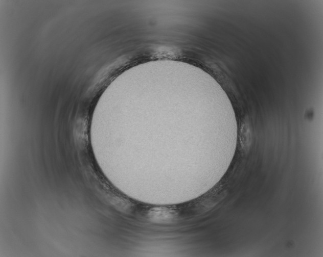 X0000115550714200912181553