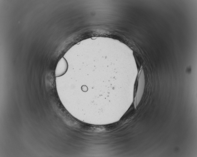 X0000115550715200912181553