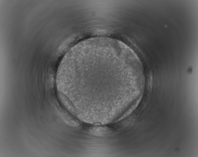 X0000115550716200912181553