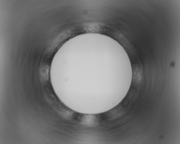 X0000115550717200912181553