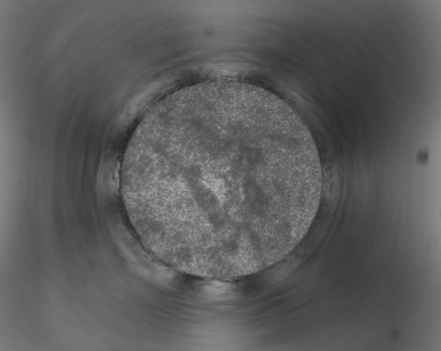 X0000115550718200912181553