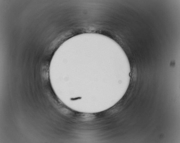 X0000115550719200912181553