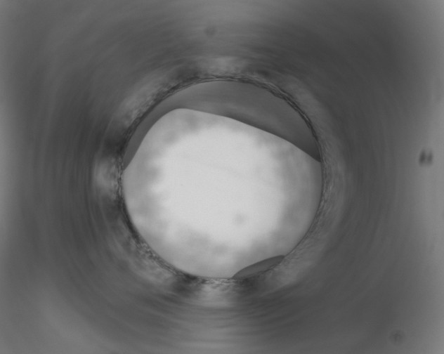 X0000115550720200912181553