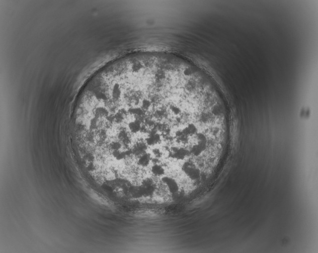 X0000115550721200912181552