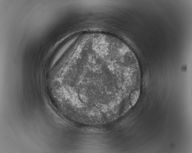 X0000115550722200912181552