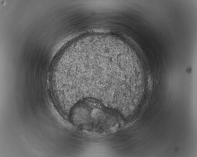 X0000115550725200912181552