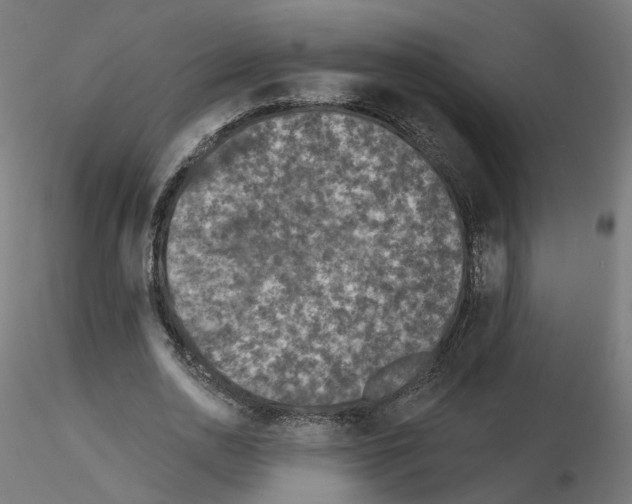 X0000115550726200912181552