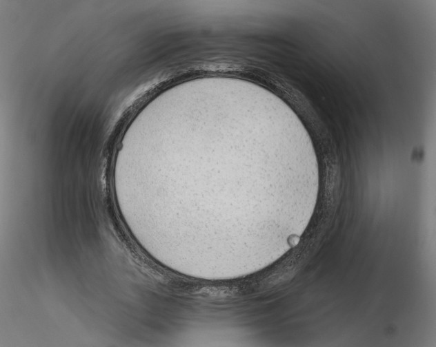 X0000115550727200912181552